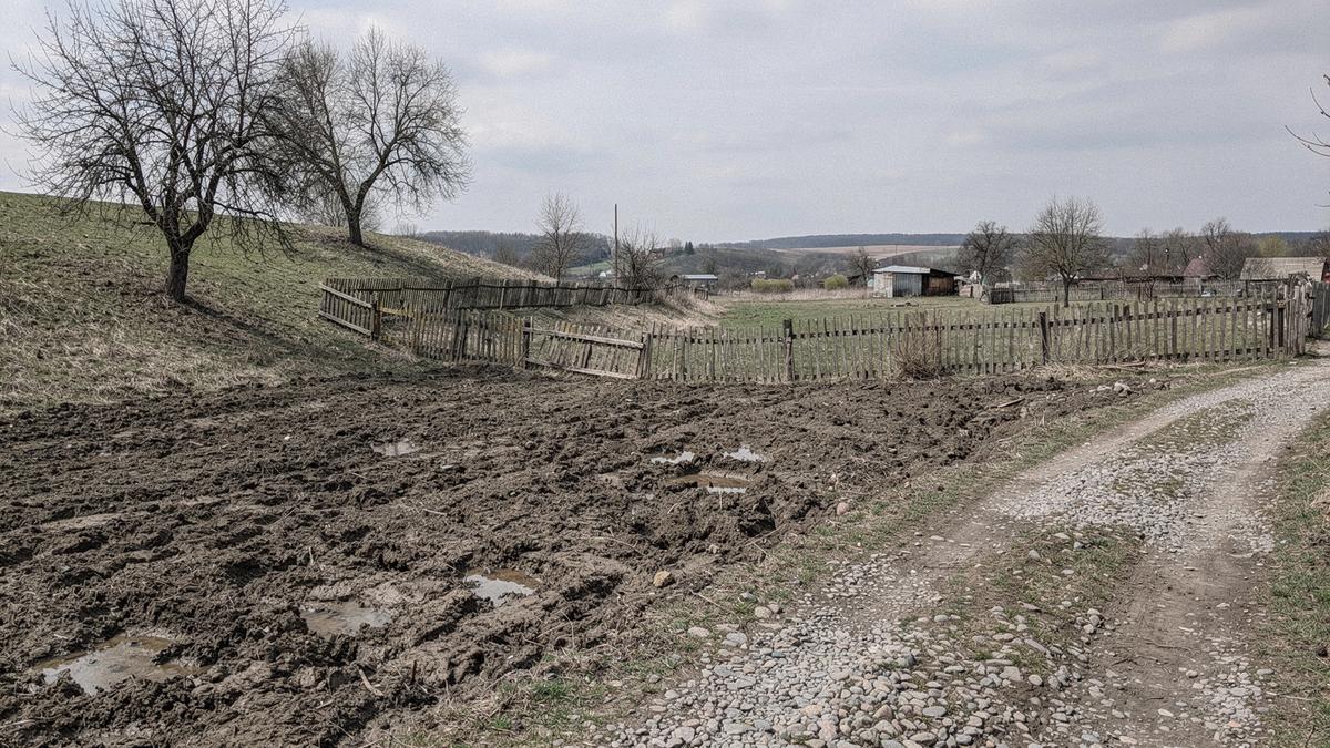 Sloping countryside plot with a gravel access track, existing trees and a low boundary fence